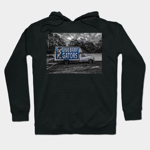 Florida Hoodie by goldstreet